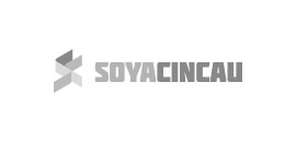 Client 3 Logo